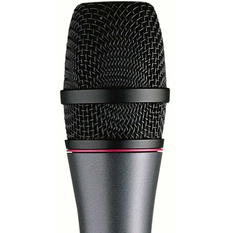 Sennheiser E865S Studio Condenser Microphone with Switch