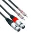 Connex XFRC-6T Pro XLR Female to RCA Male Twin 6m