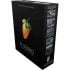 FL Studio Producer Edition 20.6 Music Production Software