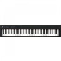 Korg D1