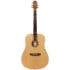 Ashton D20NTM Dreadnought Acoustic Guitar