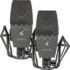 sE Electronics sE4400A Matched Pair Condenser Mic