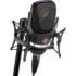 Neumann TLM107 Omni Wide Cardioid Mic with EA4 Black