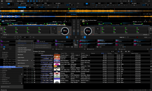 DJ software music library interface