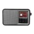 Audizio Parma Silver Portable DAB+ Digital Radio Silver