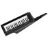 Korg RK100S 2 Keytar - Translucent Black