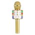 MAX KM15G - Gold Karaoke Microphone with Speaker and LED Light BT/MP3