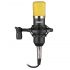 Vonyx CM400 Studio Condenser Microphone - Black Gold