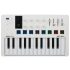 Arturia MINILAB-MK3 MIDI Keyboard 25 Key