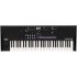Korg WAVESTATE SE Wave Sequencing Synthesizer - 61 Key