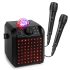 Fenton KAR55B Bluetooth Karaoke Speaker with LED &amp; Microphones - Black