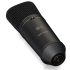 Behringer B-1-DARK Large Condenser Microphone