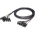 Proel CHLP430LU5 (8 x XLR 3P Female Cable Mount) - 5m