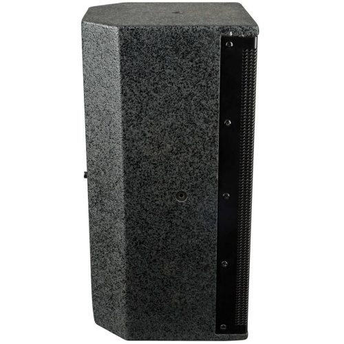 PROEL LTX8P V2 2-Way 8″ Wooden Passive Speaker – 160W