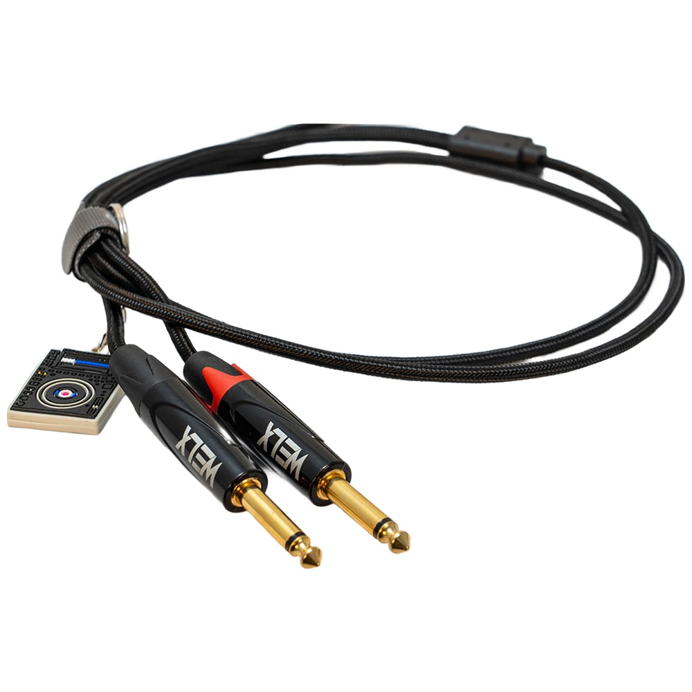 Welx R7 USB-C to Dual 1/4'' TS Mono Audio Cable – 1.5 m - Image 2