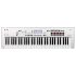 KORG KROSS 2 61 Note Synth - White