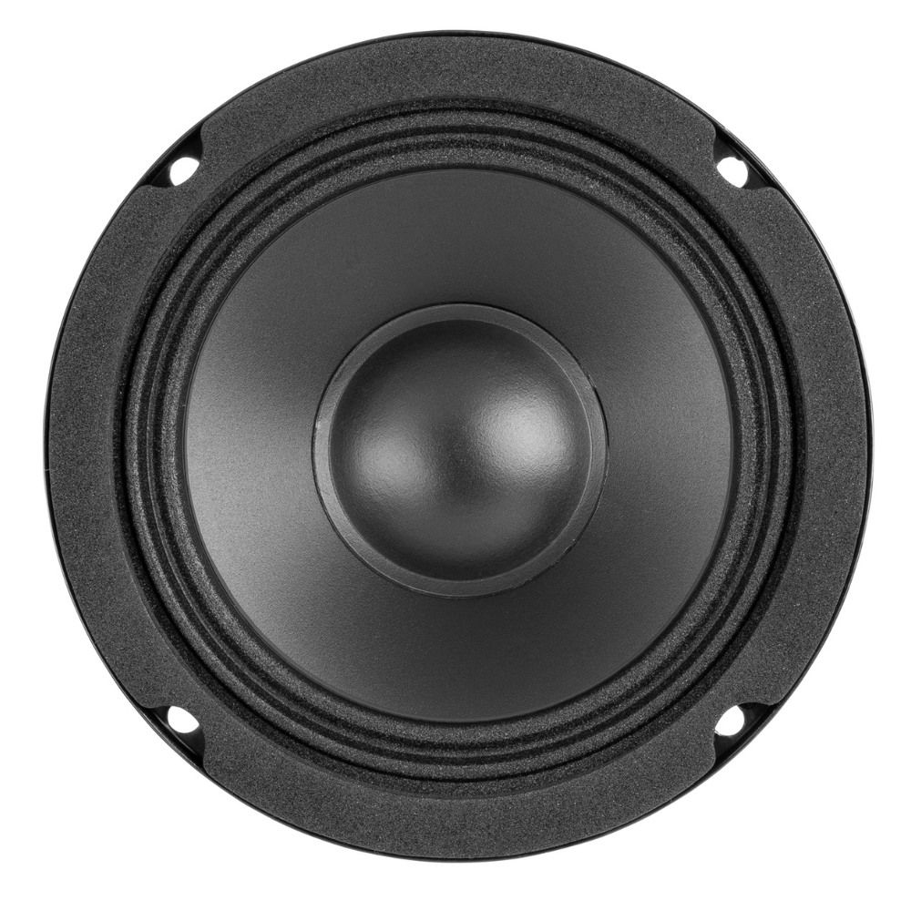 WP10 Woofer PP Foam Hi-Fi 10cm 50W