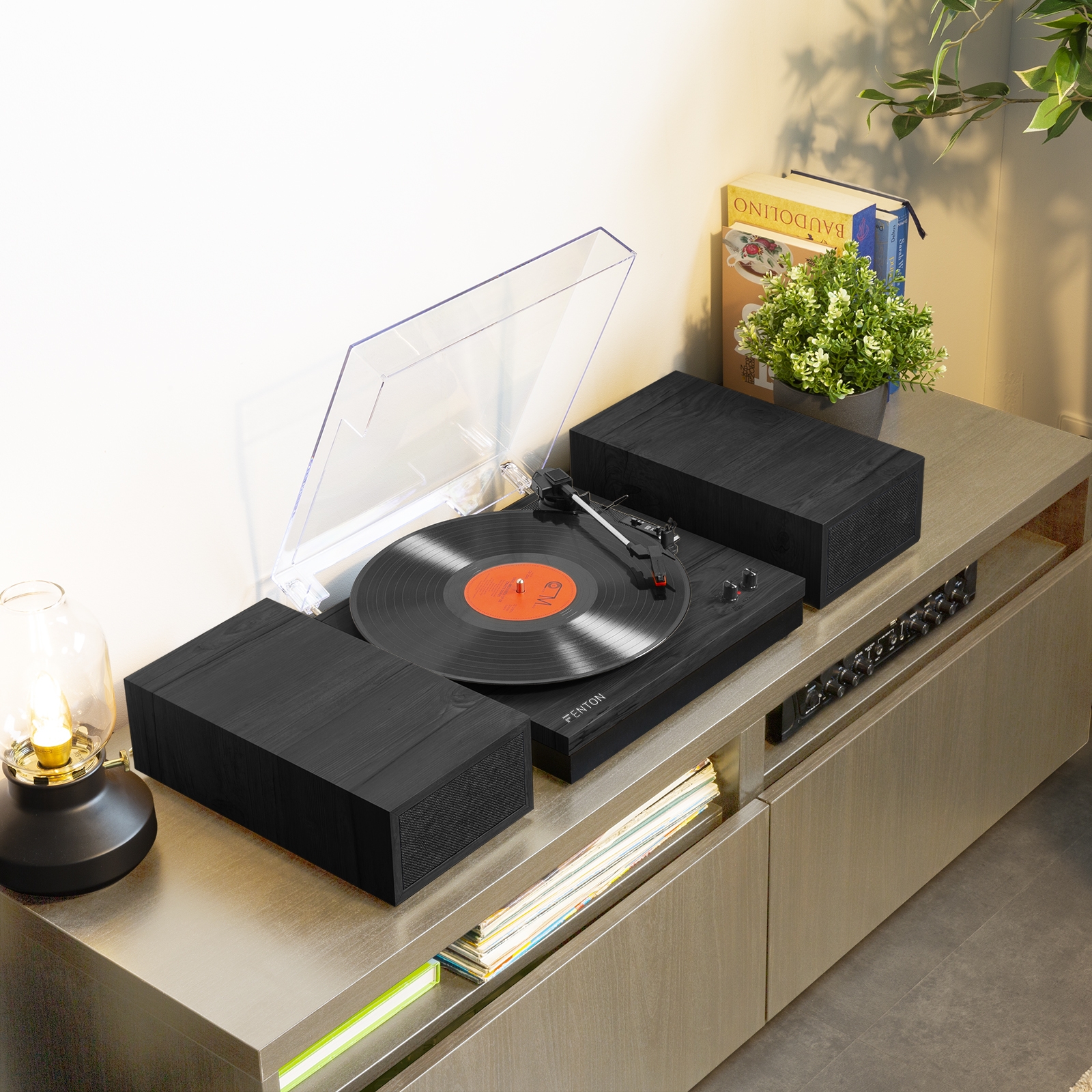 top view of the Fenton RP165B record player setup on a shelf with plants.