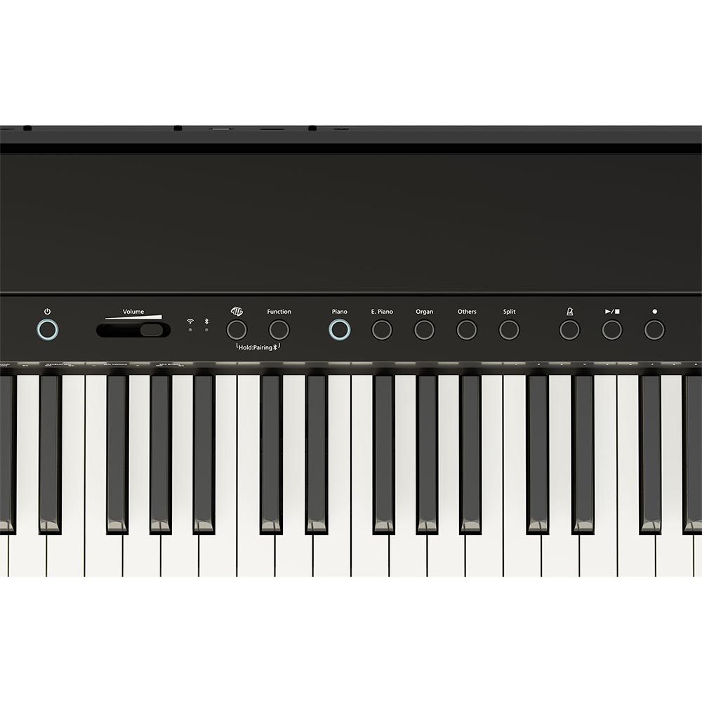 Roland FP-40 Digital Piano (Black)