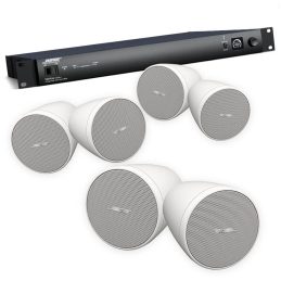 Bose Professional Veritas 2160BH Mixer Amplifier & 3 Pairs FreeSpace FS2P Speakers (White)